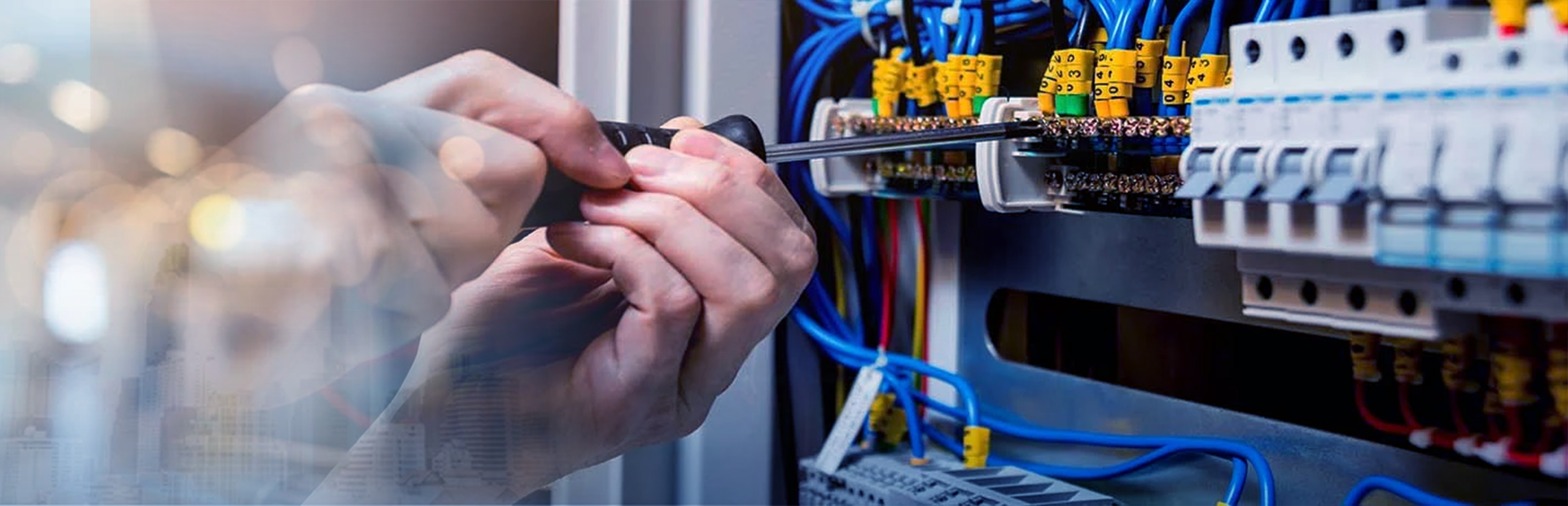 Sản xuất hiện đại, chất lượng bền vững